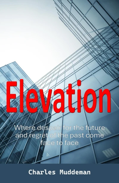 Elevation: Where despair for the future and regret of the past come face to face